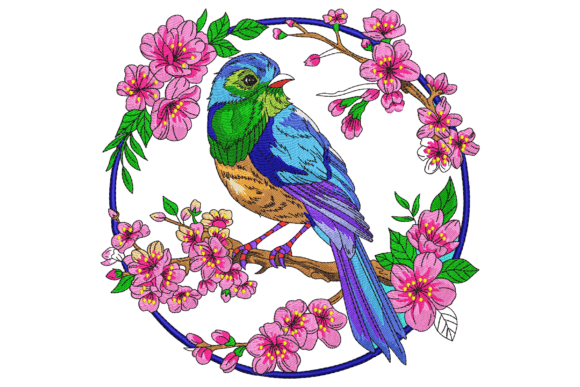 Download Colorful Bird - Premium Resources