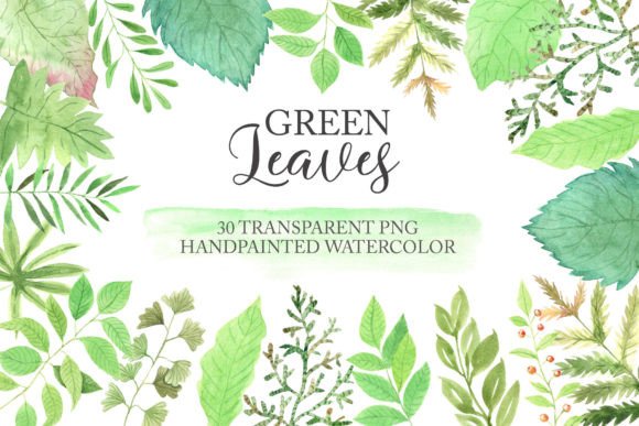 Download Watercolor Greenery Floral Clipart PNG - Greenery Collection