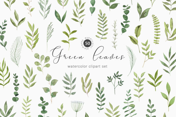 Download Watercolor Greenery Botanical Clipart - Greenery Collection