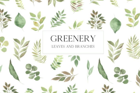 Download Watercolor Greenery Leaves Clipart - Greenery Collection