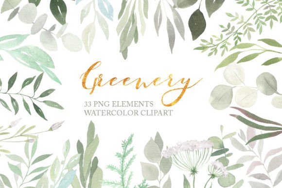 Download Watercolor Greenery Floral Clipart PNG - Greenery Collection